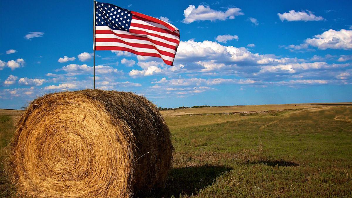 farm bill op ed.0