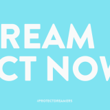 PROTECT DREAMERS TW 