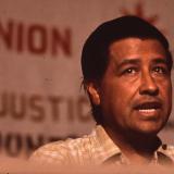 cesar  chavez      working  for  freedom 