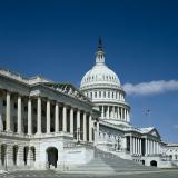 protectdreamers  36880393116  o 